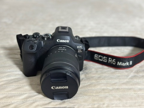 캐논 R6 mark 2 이미지