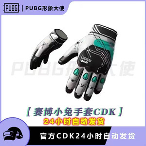 배그 스킨 사이버래빗 장갑 이미지