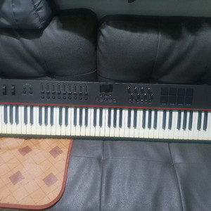 Nektar lx88전자 올겐 이미지