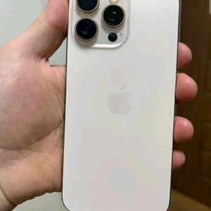 아이폰 16 프로 맥스 골드 256기가