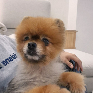 구매) 9800x3d 5070 램32gb 삽니다