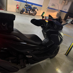 포르자350 (24년식)