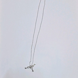 열쇠 펜던트 목걸이 (키 펜턴트 목걸이) : 가격제안받기&네고가능