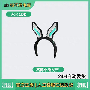 배그 스킨 사이버래빗 머리띠 이미지