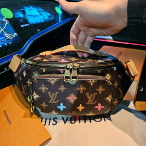 루이비통 타일러x퍼렐 강아지 초코릿 러쉬 범백 토트백 이미지