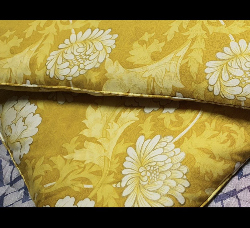 솜방석 2개 같은 크기 솜이 많이 들어서 두툼함 고급면 지퍼커버임 7천원 이미지