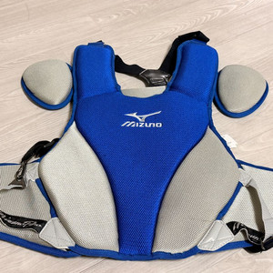 미즈노프로 프로텍터 16인치