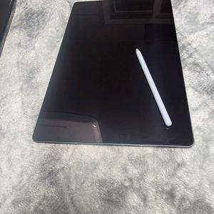 태블릿 5G 256GB + 스타일러스펜