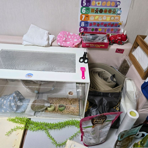 도치 & 케이지 세트 이미지