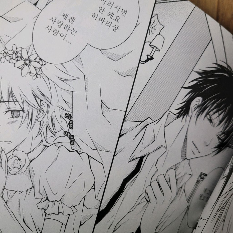 (가격내림)가히리 dmmd 토가이누의피 드라마티컬머더 동인지 이미지