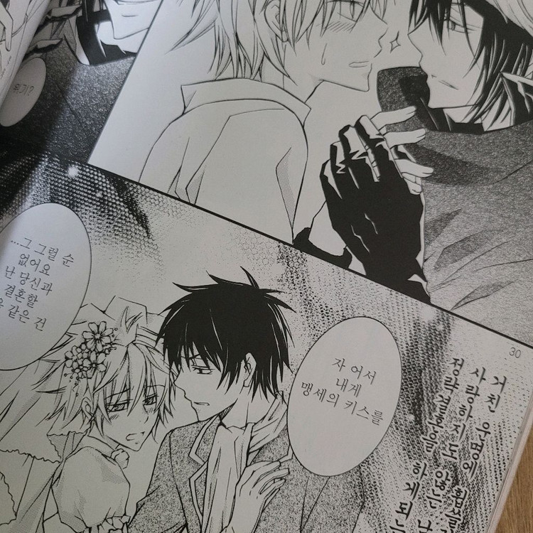 (가격내림)가히리 dmmd 토가이누의피 드라마티컬머더 동인지 이미지