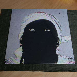 에이셉 라키 dont be dumb lp asap rocky awge