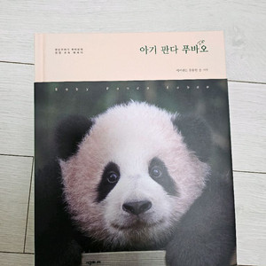 아기판다 푸바오