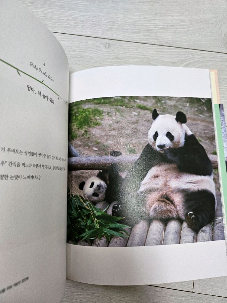 아기판다 푸바오--3