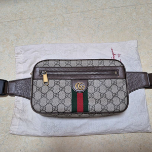 정품 구찌(오피디아)벨트백 힙색