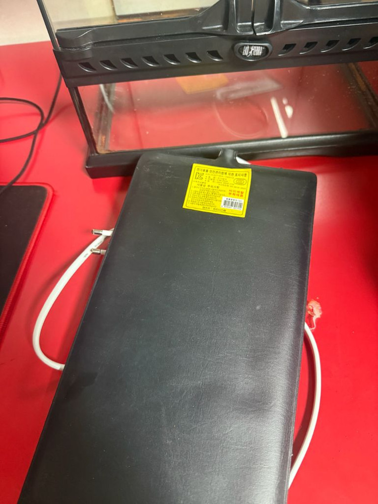 엑소테라 30큐브 파충류 사육장 세트 + 히팅패드--1