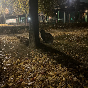 아디다스 3만원 쿠폰 판매합니다