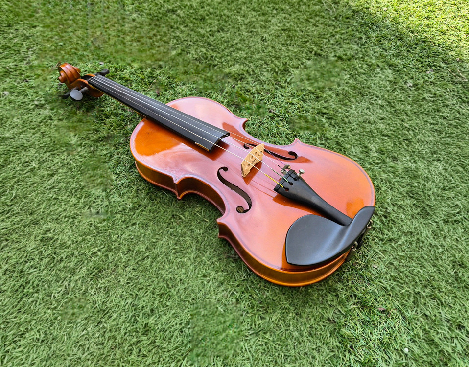 심로 바이올린 SN501 4/4 통판 풀세트--1