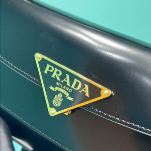 프라다 브러쉬드