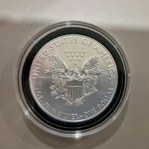 아메리칸이글 1온스 법정은화