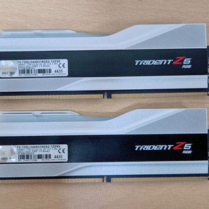 지스킬 DDR5 32GB RGB 7200MHz CL34 32GB(16GB2) 실버