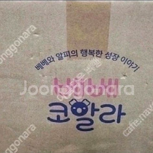 베베코알라(본박스)상태 최고!!!최고!!! 이미지