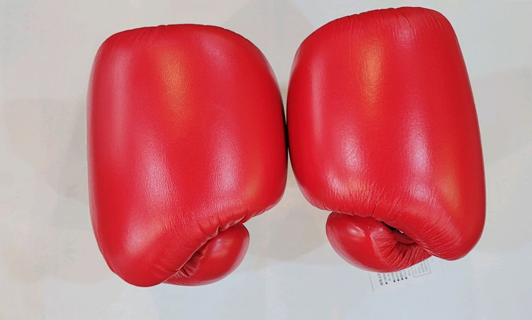 위닝 복싱글러브 12온스 이미지