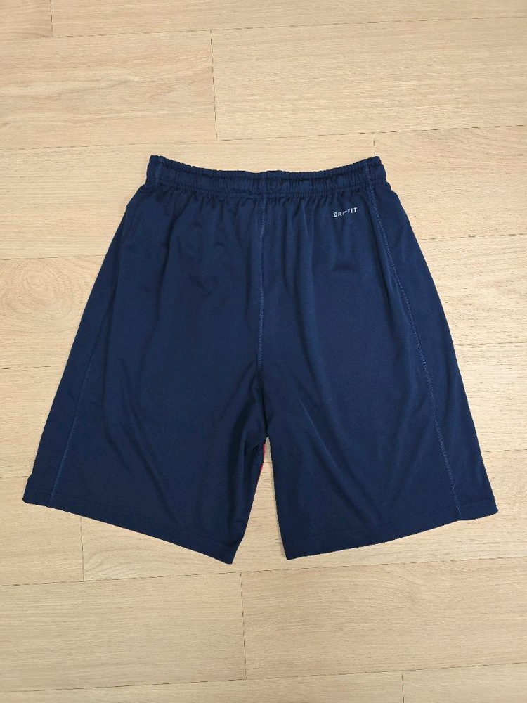 나이키 어센틱 컬렉션 드라이핏 보스턴 레드삭스 반바지 M(31~33) 이미지