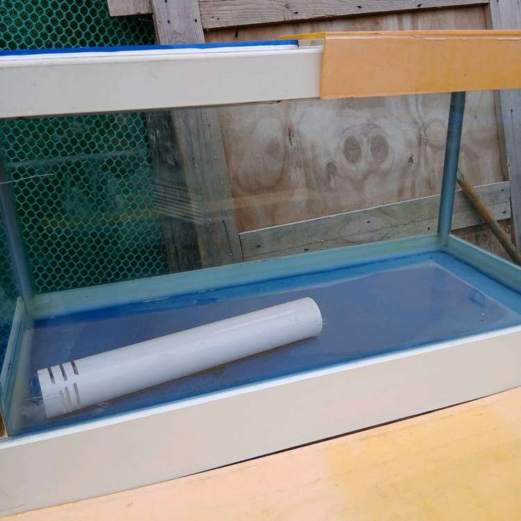 업소용 2단 수족관 상태좋음 이미지