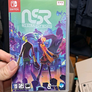 닌텐도 스위치 노 스트레이트 로드 표지사용감