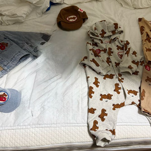 베베드피노 퍼피제인90 6종일괄