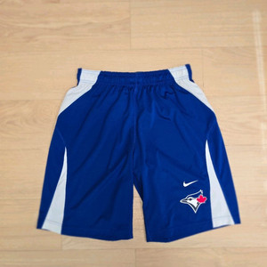 나이키 어센틱 컬렉션 드라이핏 토론토 블루제이스 반바지 M(32~34) 이미지