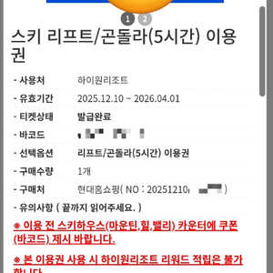 하이원 스키 리프트/곤돌라 5시간 이용권(총 2장 있어요)