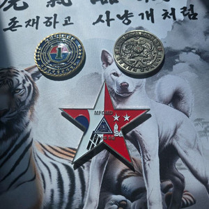 육군 부대코인 이미지