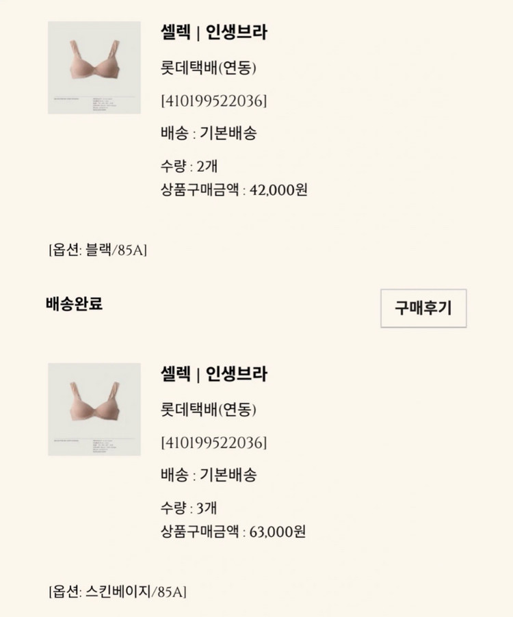 오케이픽 인생브라 브라팬티 세트 이미지