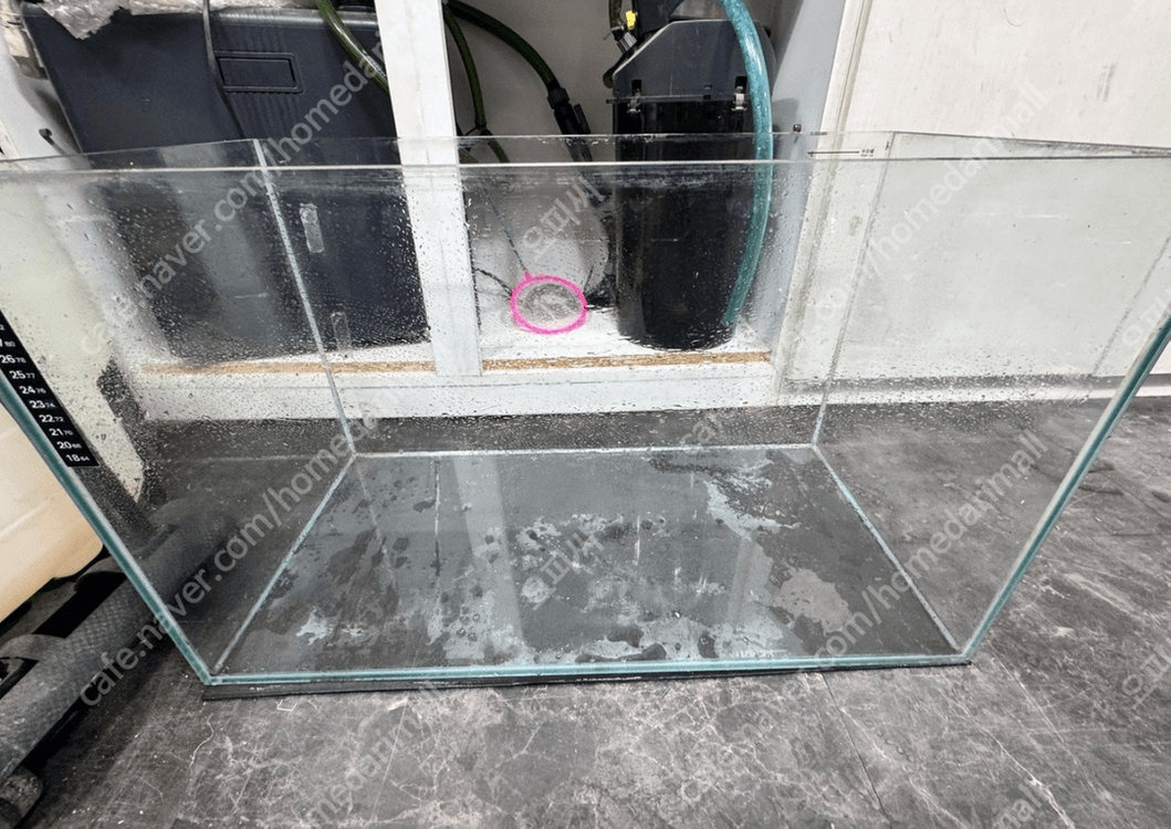 2자어항, 트윈스타 600EA 해양 수초 형광등 2자 일괄 팝니다 이미지