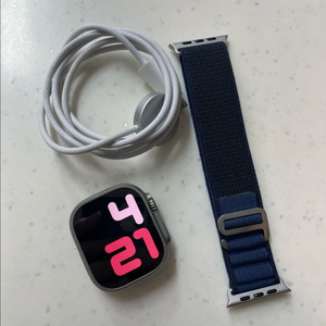 애플워치 울트라2 내추럴 SS급