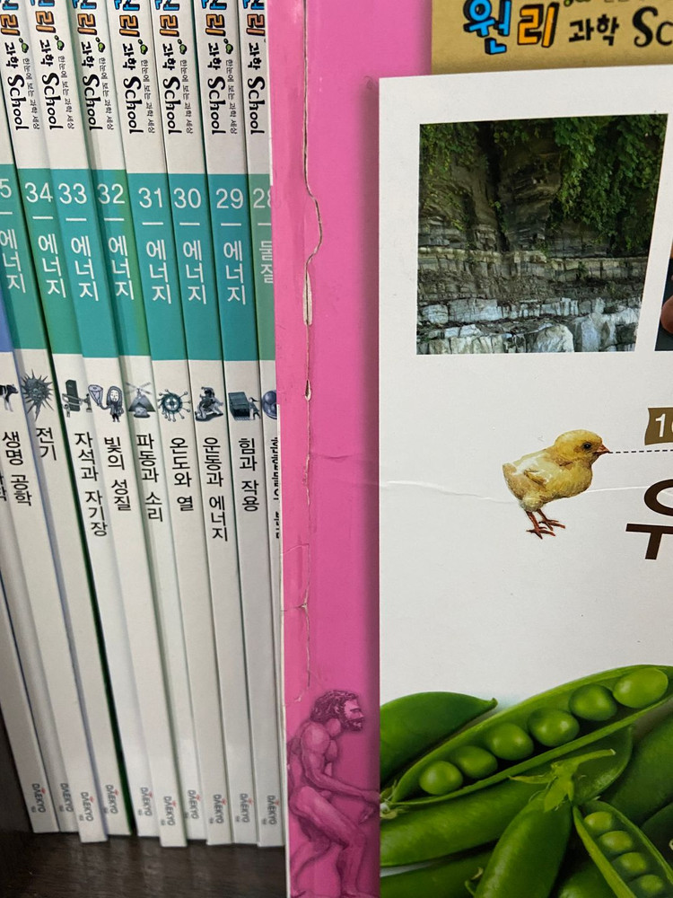 대교 원리과학스쿨, 알고 있나요, 꿈꾸는책방 ,세계이야기탐험, 스토리메이트--1