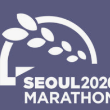 2026 서울 마라톤 티켓