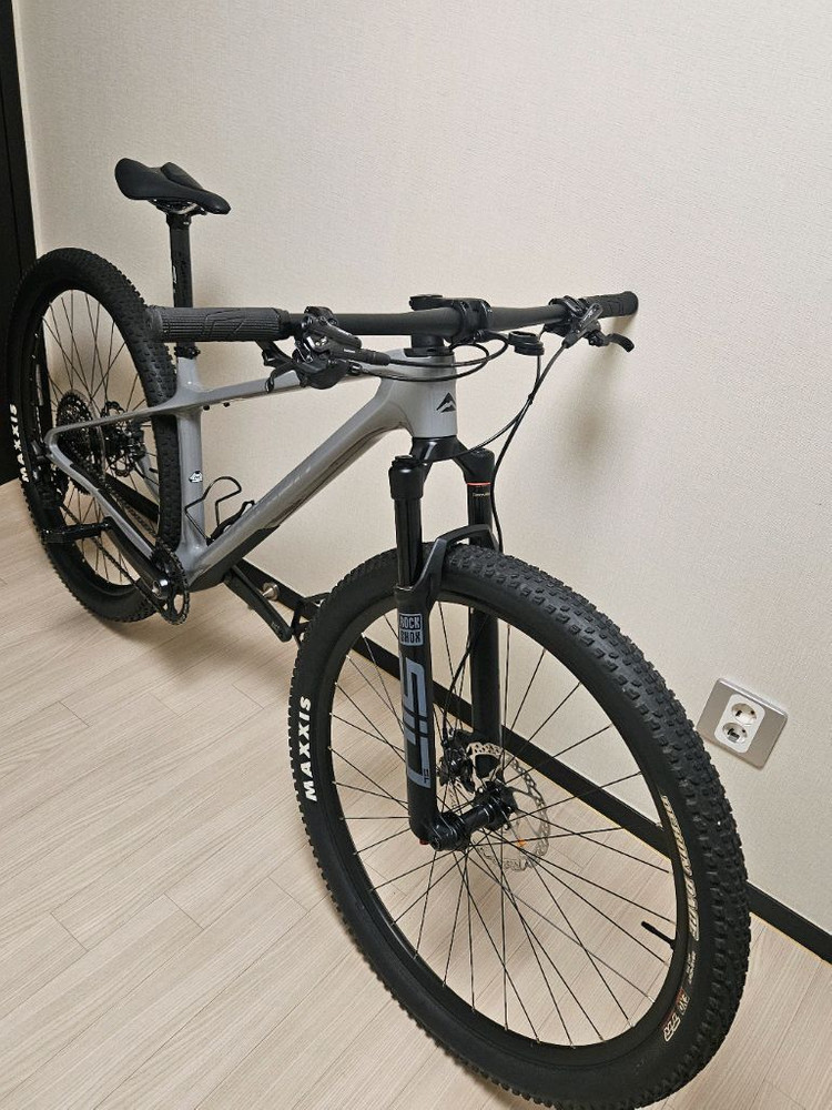 메리다빅나인XT카본29인치--1