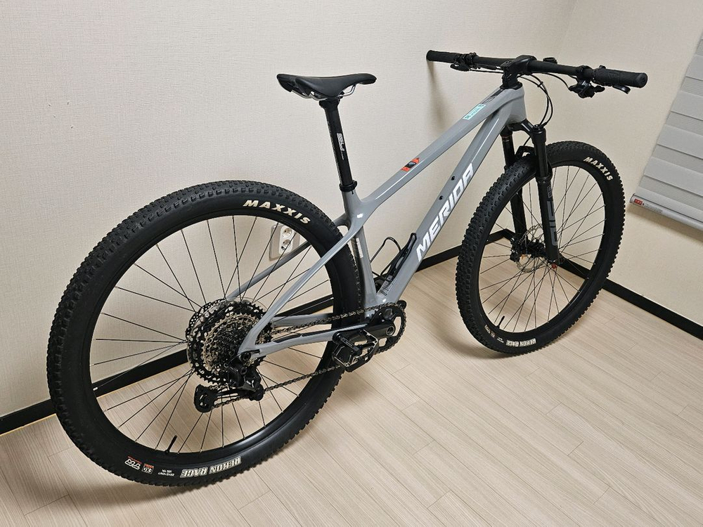 메리다빅나인XT카본29인치--2