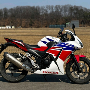 혼다CBR300R/15년식/1만키로/155만원 이미지