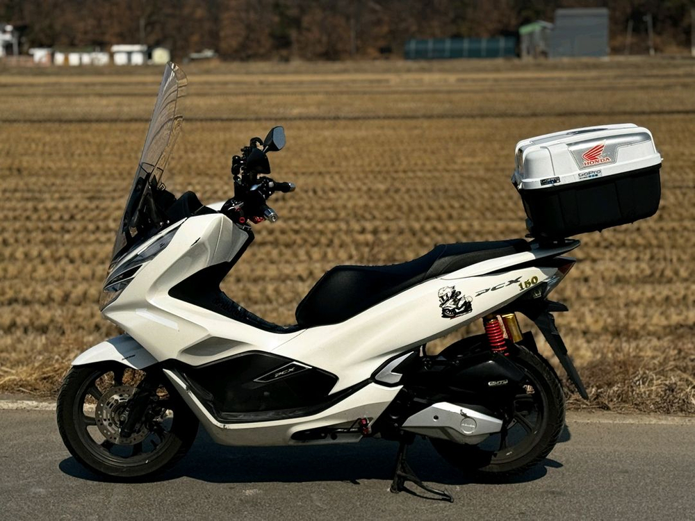 혼다PCX150/19년식/5만키로/155만원/구변완 이미지