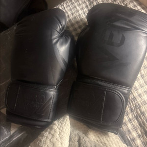 복싱글러브 12온스 이미지