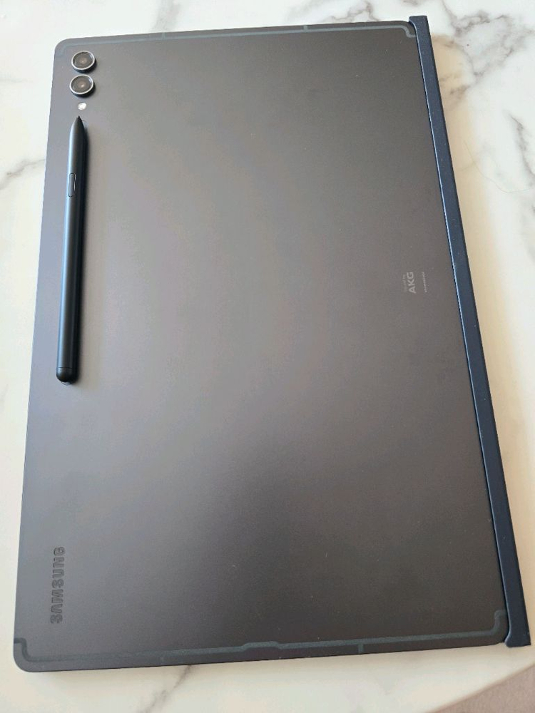 갤럭시탭s9 울트라 256Gb wifi 이미지