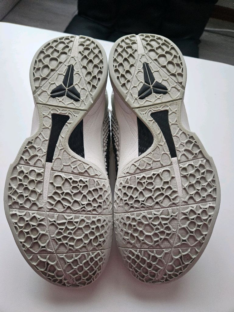 [275]코비6 세일--2