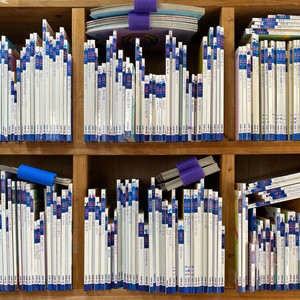 프뢰벨 토탈시스템 (254권)