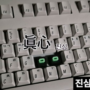 (*단종) 알프스 녹축 *한영 키캡* PS/2 애플 Mac 빈티지 키보드 이미지