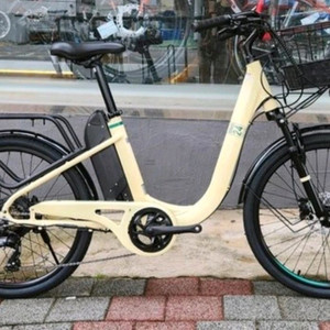 알톤 벤조24 에디션 전기자전거 이미지