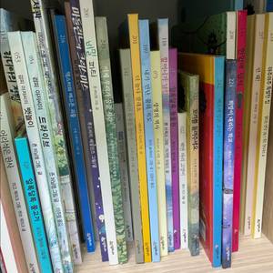 시공주니어 네버랜드 세계걸작 뉴 베스트 100 이미지